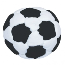 Footbag