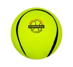 SuomiPesis Pro Naiset pesäpallo