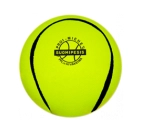 SuomiPesis Pro Miehet pesäpallo