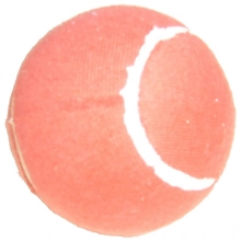 Champ Pesis pesäpallo Jr