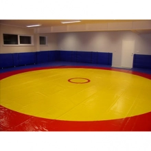 Painimolskin päällyste (TARJOUSPYYNTÖ)