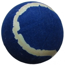 Champ Pesis pesäpallo Sr