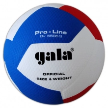 Gala Pro-Line BV5585S lentopallo