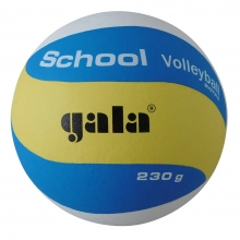 Gala School BV5731S lentopallo